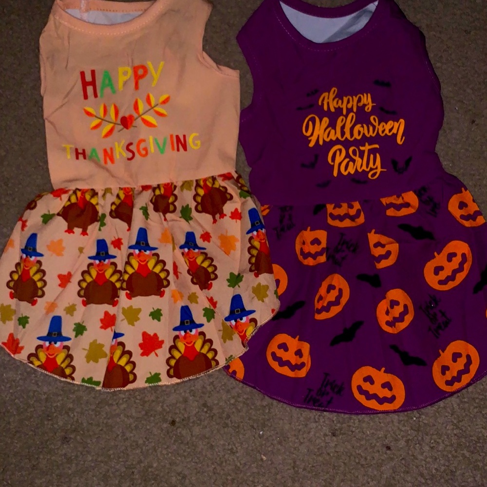 Holiday Dog Dress set